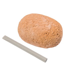 AS Σκαπτικό Αυγό Δεινοσαύρου Για 6 Χρονών