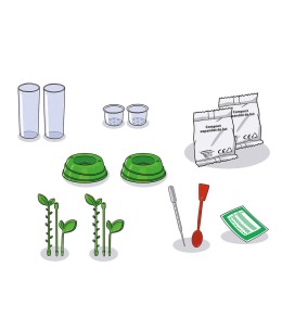 Μαθαίνω Και Δημιουργώ Lab Εκπαιδευτικό Παιχνίδι Ο Κήπος Μου (1026-63408)