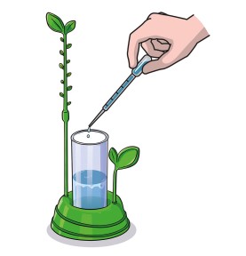 Μαθαίνω Και Δημιουργώ Lab Εκπαιδευτικό Παιχνίδι Ο Κήπος Μου (1026-63408)