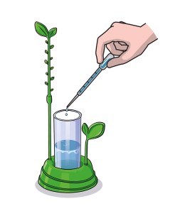 Μαθαίνω Και Δημιουργώ Lab Εκπαιδευτικό Παιχνίδι Ο Κήπος Μου (1026-63408)