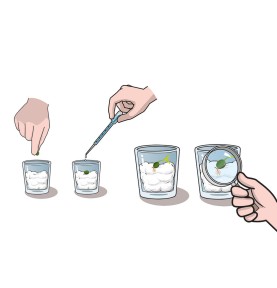 Μαθαίνω Και Δημιουργώ Lab Εκπαιδευτικό Παιχνίδι Ο Κήπος Μου (1026-63408)