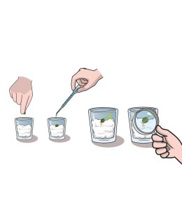 Μαθαίνω Και Δημιουργώ Lab Εκπαιδευτικό Παιχνίδι Ο Κήπος Μου (1026-63408)