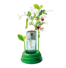 Μαθαίνω Και Δημιουργώ Lab Εκπαιδευτικό Παιχνίδι Ο Κήπος Μου (1026-63408)